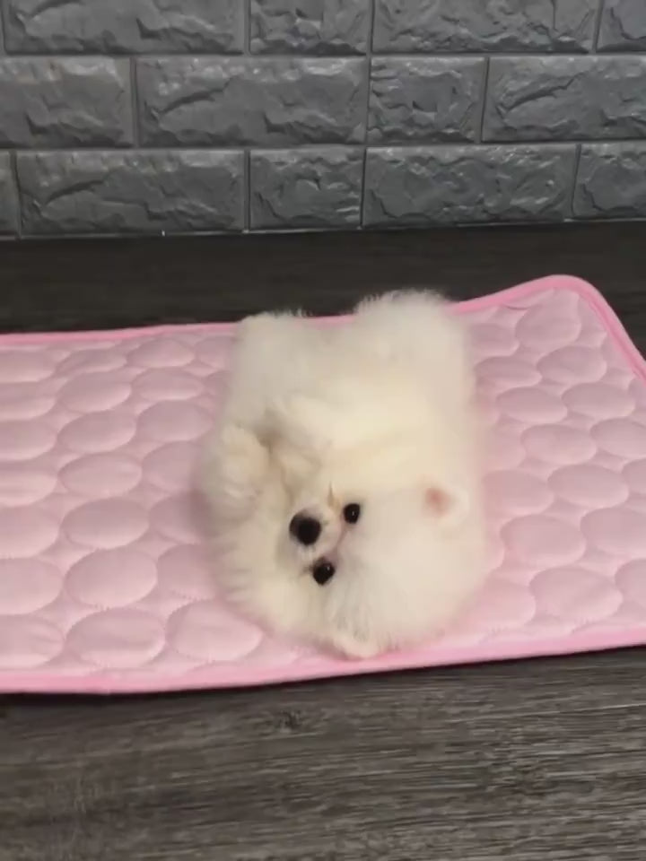 Load video: 1